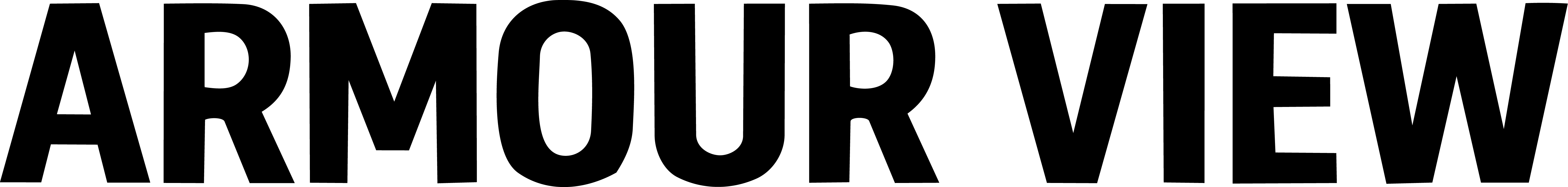 ARMOUR VIEW 